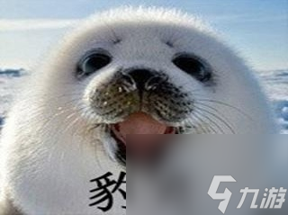 萌新一身破烂装备却穿稀有外观，老玩家被气吐血：狗托！