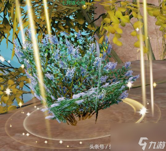 瞿塘峽采仙草任務(wù)在哪接（瞿塘峽采仙草成就）