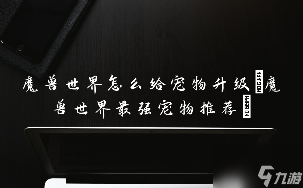 魔兽世界怎么给宠物升级(魔兽世界最强宠物推荐)