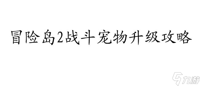 冒險(xiǎn)島2戰(zhàn)斗寵物升級(jí)攻略