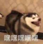 逆水寒：武林风云第二话·隐贤 保姆级通关指南