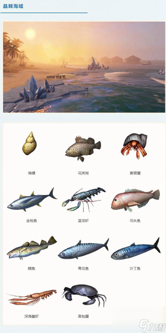 晶棘海域:海螺,金枪鱼,沙丁鱼,寄居蟹1