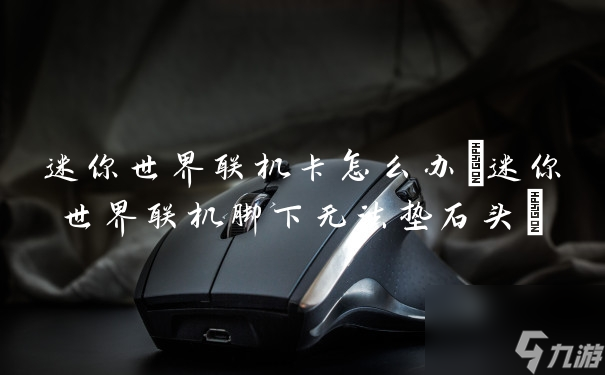 迷你世界联机卡怎么办(迷你世界联机脚下无法垫石头)