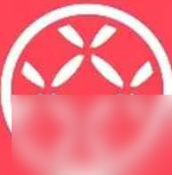 《无畏契约》钢索技能名字一览