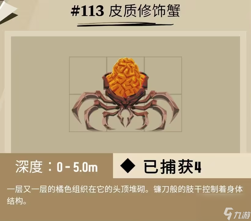 渔帆暗涌冰寒之境鱼类图鉴大全