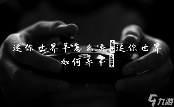 迷你世界羊怎么弄(迷你世界如何養(yǎng)羊)