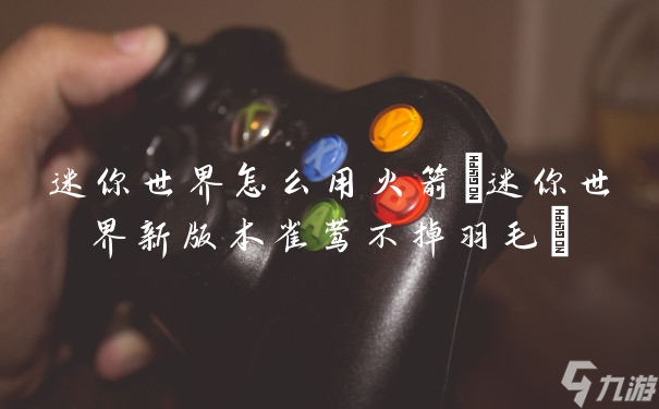 迷你世界怎么用火箭(迷你世界新版本雀莺不掉羽毛)