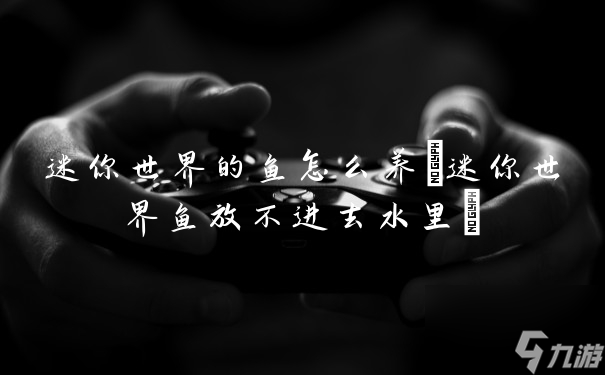 迷你世界的鱼怎么养 迷你世界鱼放不进去水里
