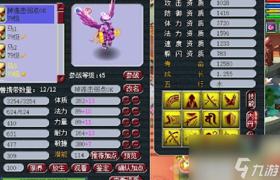 梦幻西游 想给雷鸟人连续打特殊 可惜还没开始就已经结