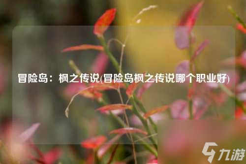 冒险岛：枫之传说(冒险岛枫之传说哪个职业好)