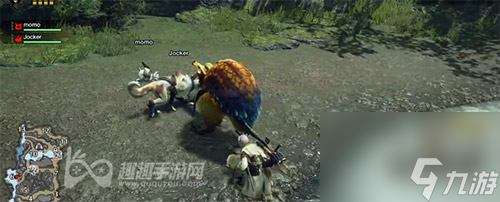 教你入手丸鸟蛋方法 怪物猎人崛起丸鸟的蛋怎么获得