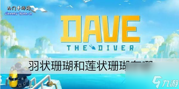 潜水员戴夫羽状珊瑚和莲状珊瑚在哪