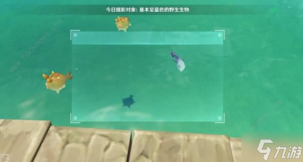 原神基本呈蓝色的野生生物在哪 图形对抗实验录三拍摄位置详解