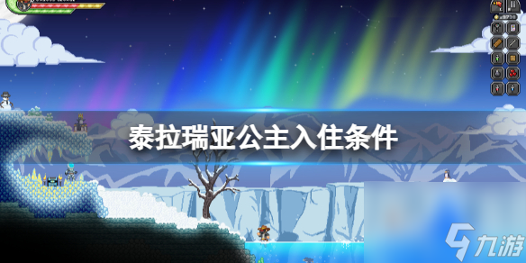 泰拉瑞亚公主入住条件公主入住方法介绍