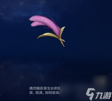 《原神》图形对抗实验录第五天拍摄紫色物产攻略 紫色物产拍摄位置分享