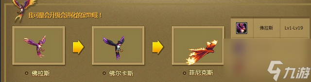 dnf贝雷斯宠物外观（dnf贝雷斯还能进化吗）