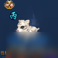 倩女幽魂灵兽怎么洗出甲乙（倩女幽魂灵兽洗炼攻略）「干货」