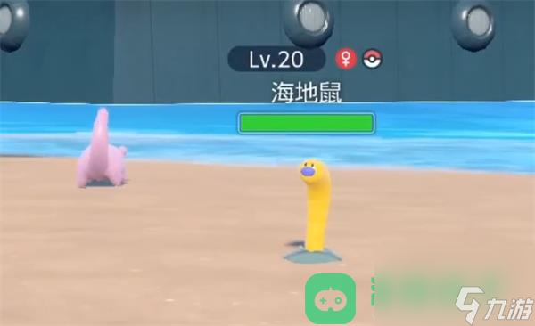宝可梦朱紫海地鼠捕捉位置一览