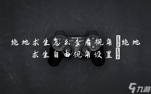 绝地求生怎么查看视角(绝地求生自由视角设置)