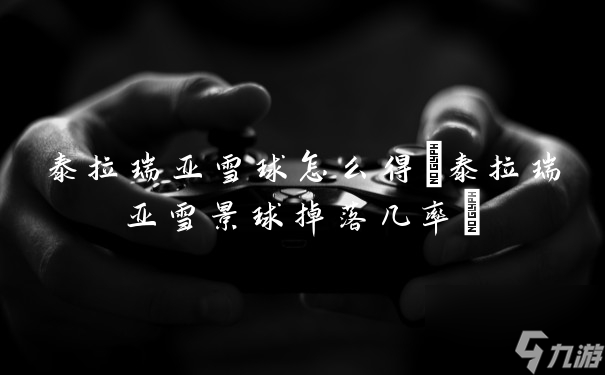 泰拉瑞亚雪球怎么得(泰拉瑞亚雪景球掉落几率)