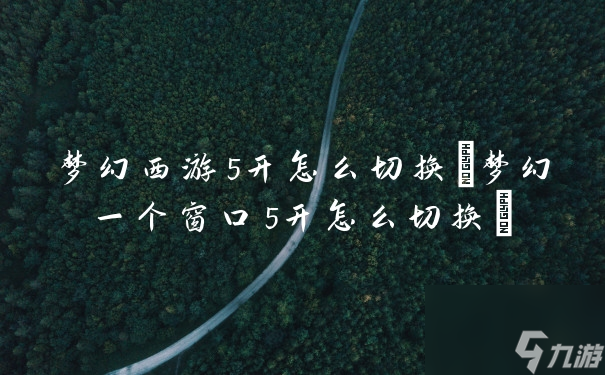 梦幻西游5开怎么切换(梦幻一个窗口5开怎么切换)