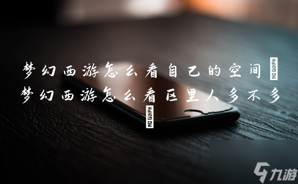 梦幻西游怎么看自己的空间(梦幻西游怎么看区里人多不多)