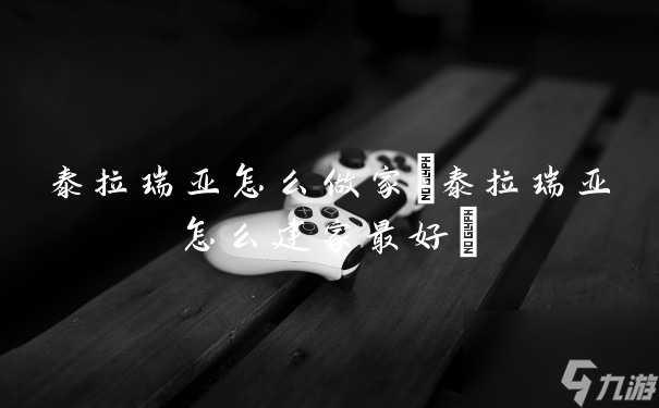 泰拉瑞亚怎么做家(泰拉瑞亚怎么建家最好)