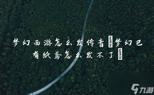 梦幻西游怎么发传音(梦幻已有纸鸢怎么发不了)