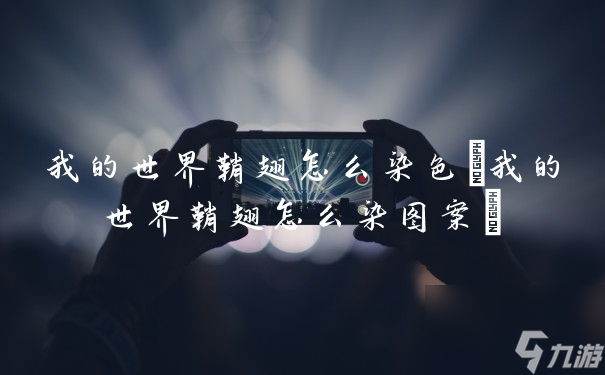 我的世界鞘翅怎么染色(我的世界鞘翅怎么染图案)