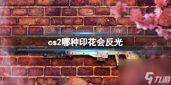 《cs2》会反光印花介绍