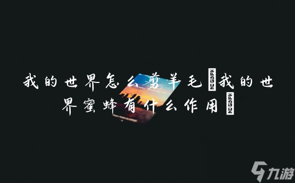 我的世界怎么剪羊毛(我的世界蜜蜂有什么作用)