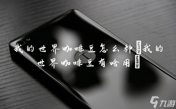 我的國際咖啡豆怎樣種 我的國際咖啡豆有啥用