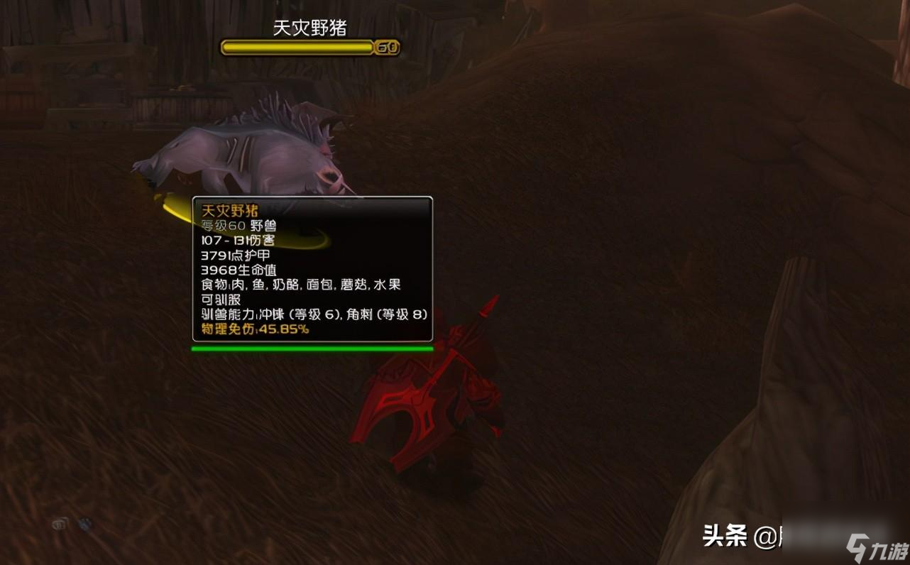 wow70級(jí)獵人必抓五只寵物（魔獸世界可以抓的寵物）「科普」