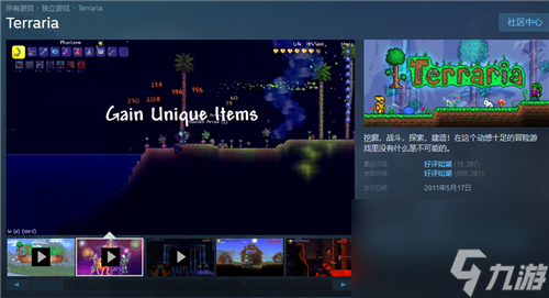 在steam上售卖价格介绍 泰拉瑞亚多少钱