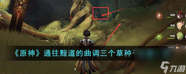 原神通往黯道的曲调三个草种子位置在哪里-通往黯道的曲调三个草种子位置一览