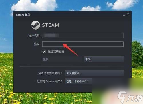 为什么steam下载了运行不了 steam安装后无法登录