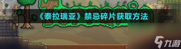 泰拉瑞亚禁忌碎片怎么获取 获取方法