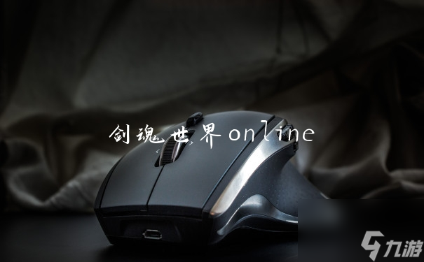 剑魂世界online