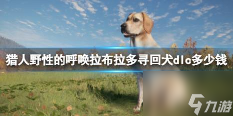 猎人野性的呼唤拉布拉多寻回犬dlc价格及内容一览