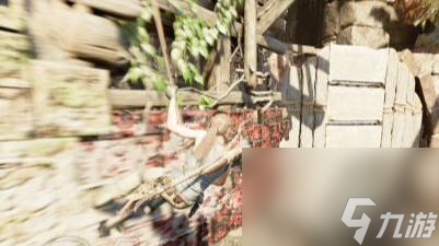 古墓麗影暗影峽谷遺跡怎么過？