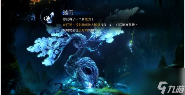 精灵与萤火意志夸洛克地穴怎么过