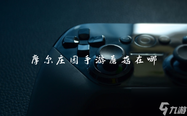 <a id='link_pop' class='keyword-tag' href='https://www.9game.cn/moerzhuangyuan1/'>摩尔庄园手游</a>蘑菇在哪