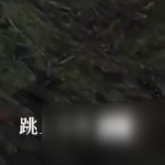 《荒野大鏢客2》滾輪閉鎖步槍怎么獲得 滾輪閉鎖步槍獲取攻略