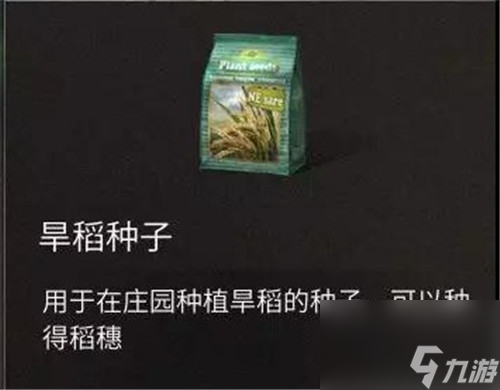 旱稻種子在哪買 明日之后大米獲得方法