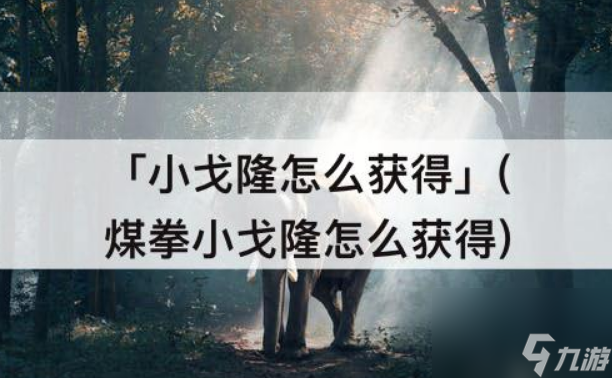 煤拳小戈隆怎么获取