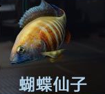 星球重启钓鱼点大全