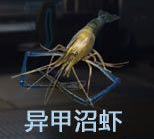 星球重启钓鱼点大全