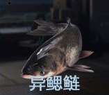 星球重启钓鱼点大全