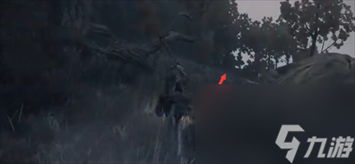 艾尔登法环骨灰结晶人获得方法介绍