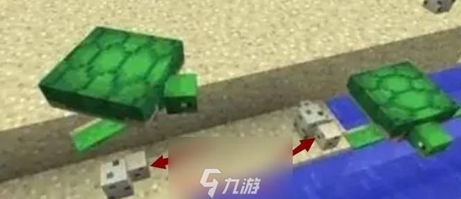 我的世界海龟蛋怎么孵化-海龟快速孵化必备教程